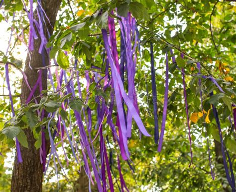 purple ribbon around trees meaning.